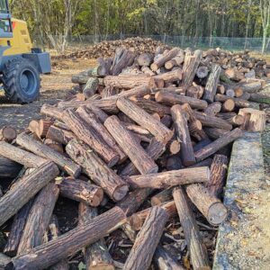 Száraz 80 cm-es akácfa